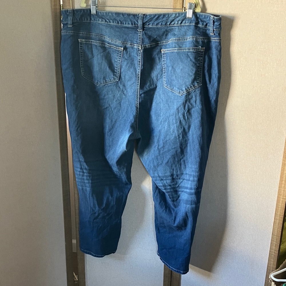 FINAL MARKDOWN Terra & Sky Classic Blue Jeans 26w - Picture 8 of 12